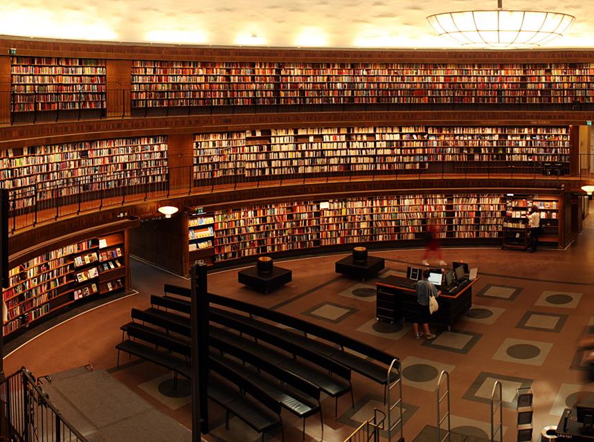 Library Of Stockholm jigsaw puzzle