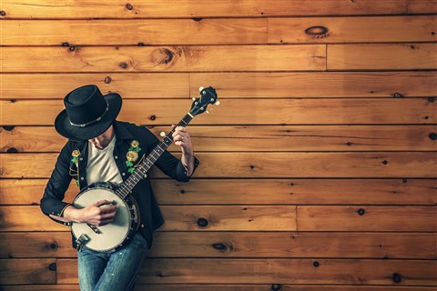 Banjo Player jigsaw puzzle
