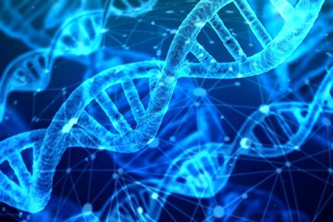 DNA jigsaw puzzle