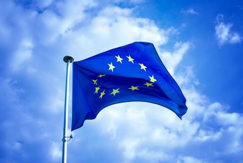 European Flag jigsaw puzzle