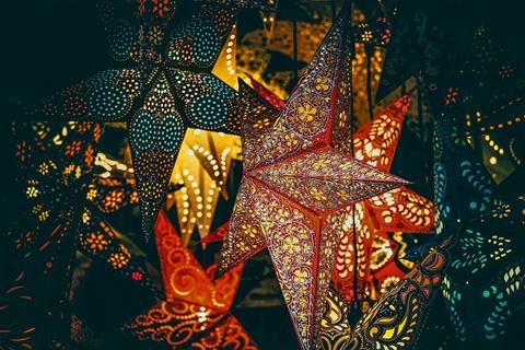 Poinsettia Star jigsaw puzzle