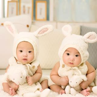 Sheep Babys jigsaw puzzle