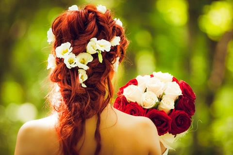 The Bride jigsaw puzzle