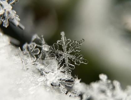 Snow Flake  jigsaw puzzle