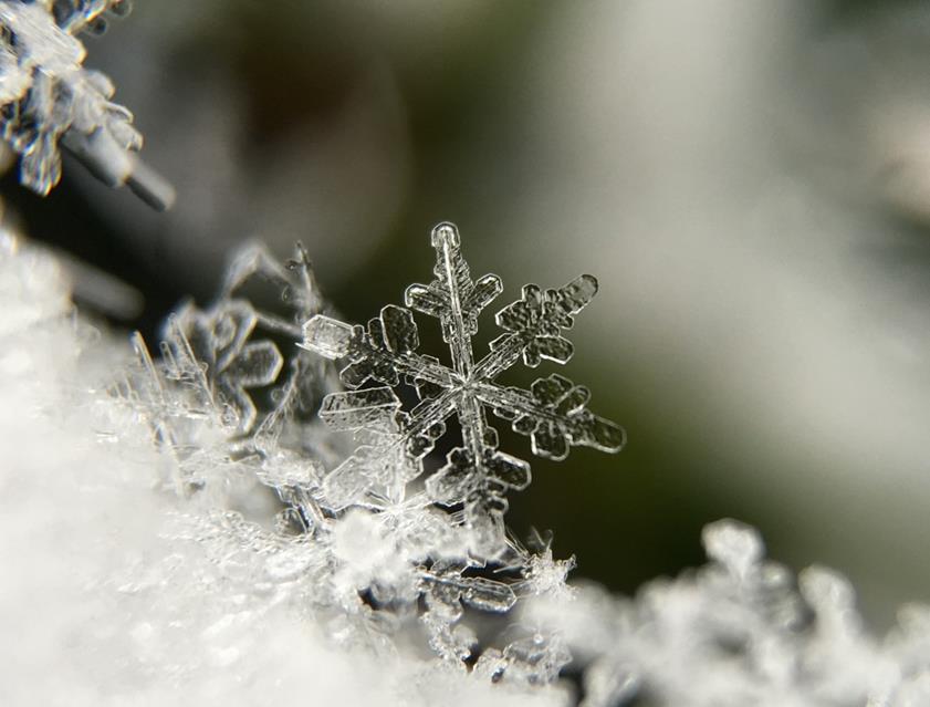 Snow Flake  jigsaw puzzle