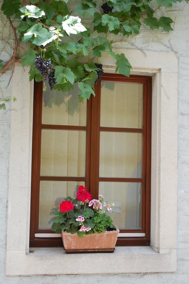 Grapes Over Window jigsaw puzzle