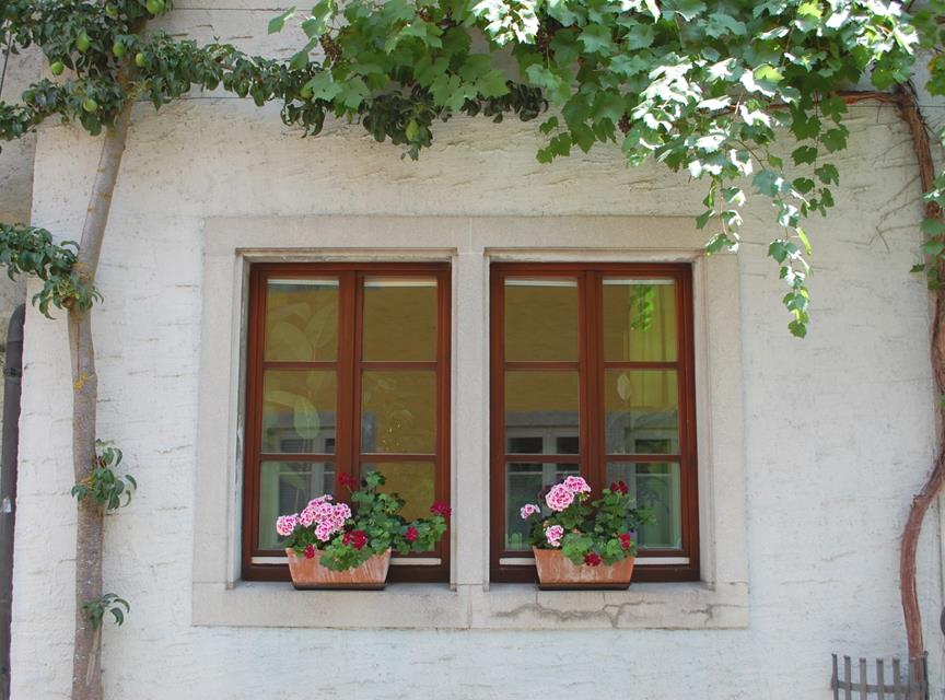 Two Windows Two Flowers jigsaw puzzle