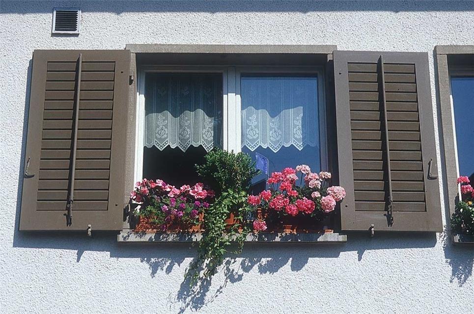 A Pot Of Flowers jigsaw puzzle