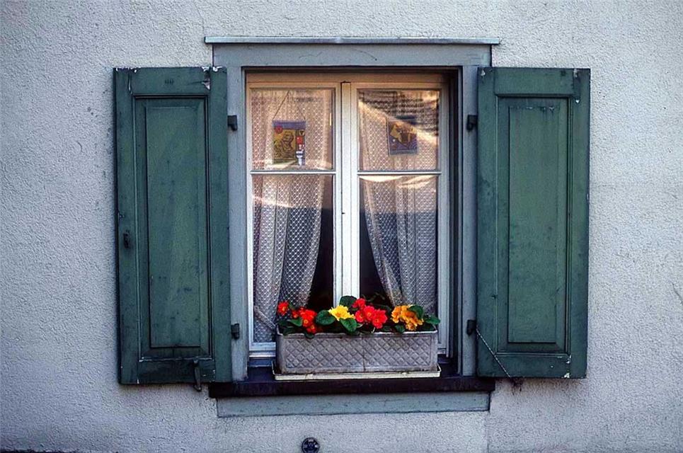 Green Window And Flowers jigsaw puzzle