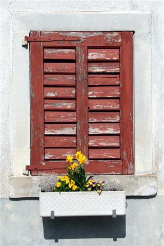Red Window jigsaw puzzle