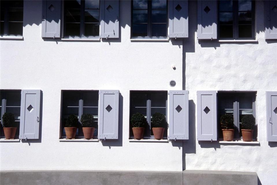 Mini Bushes On Windows jigsaw puzzle