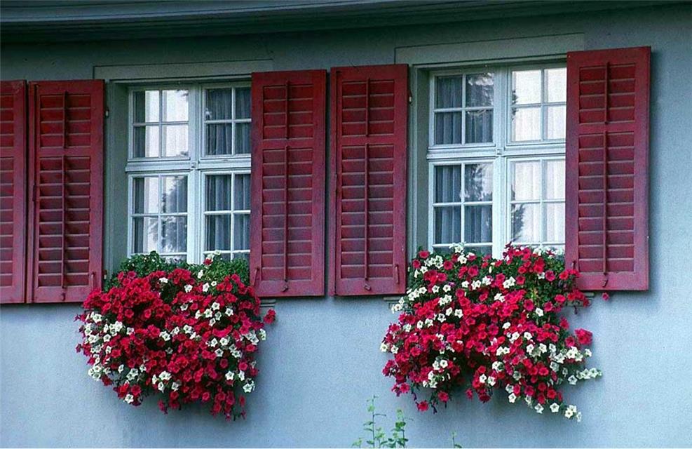 Red Doored Windows jigsaw puzzle