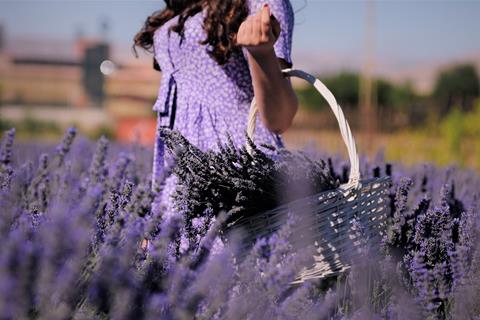 Lavender Basket jigsaw puzzle