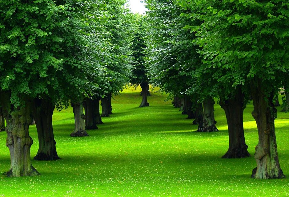 Green Alley jigsaw puzzle