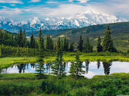 Pine Trees Lake Reflection jigsaw puzzle