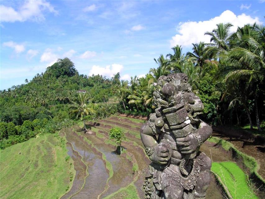 Bali Rice Fields jigsaw puzzle