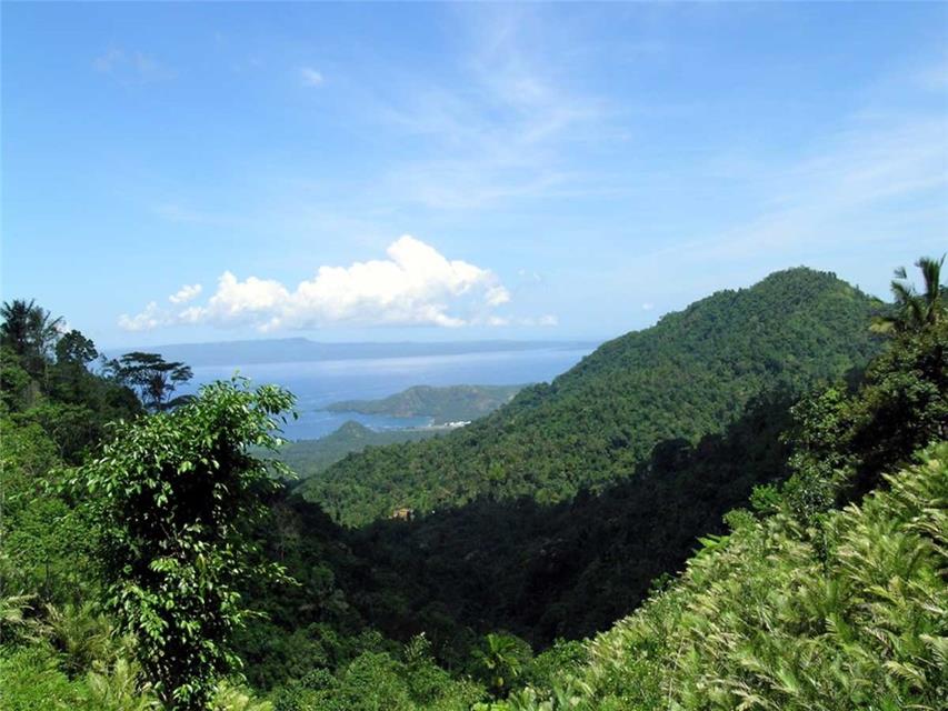 Forests of Bali jigsaw puzzle