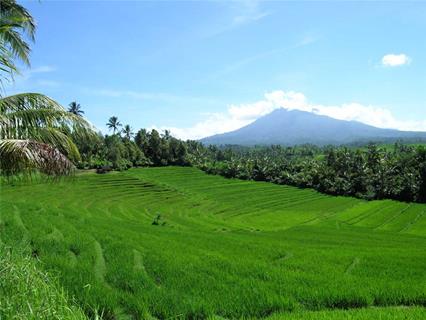 Bali Forests and Terraces jigsaw puzzle