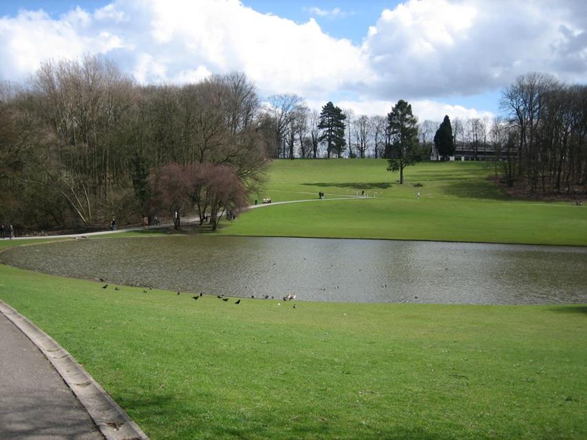 A Park With Trees and Lakes jigsaw puzzle