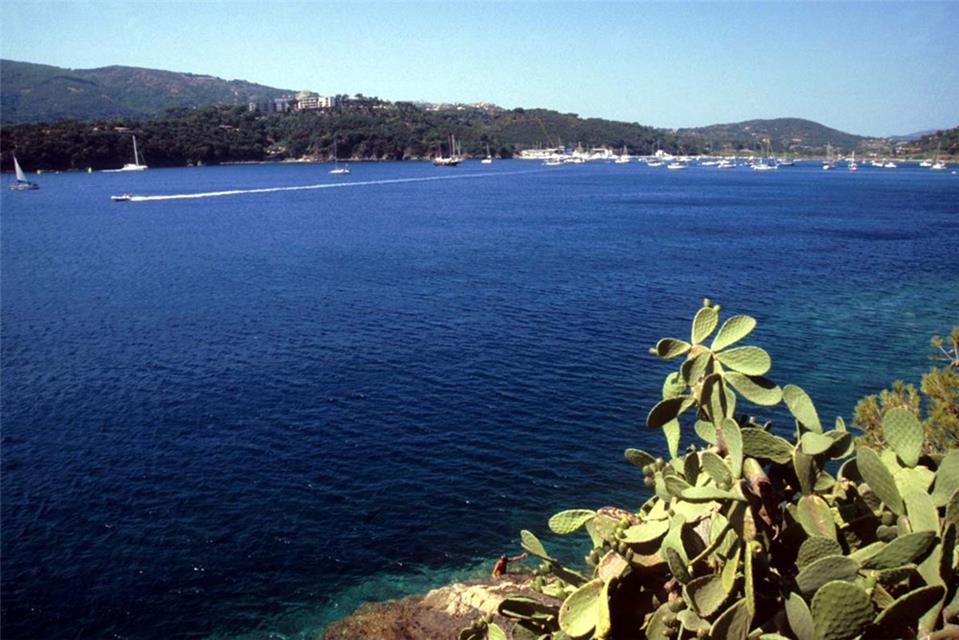 Elba 012 jigsaw puzzle