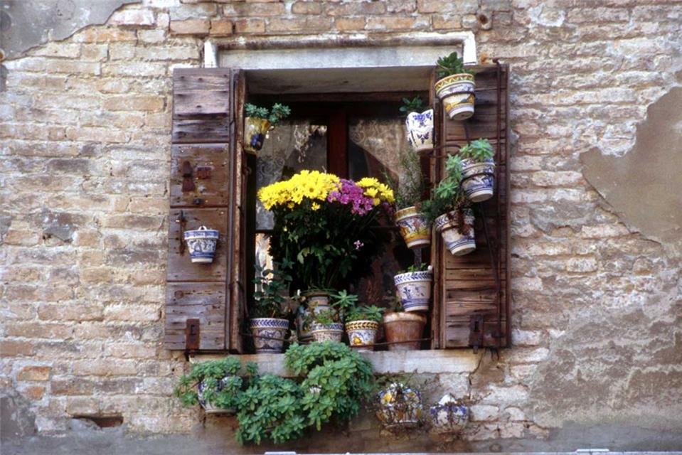 Flowers at Windows jigsaw puzzle