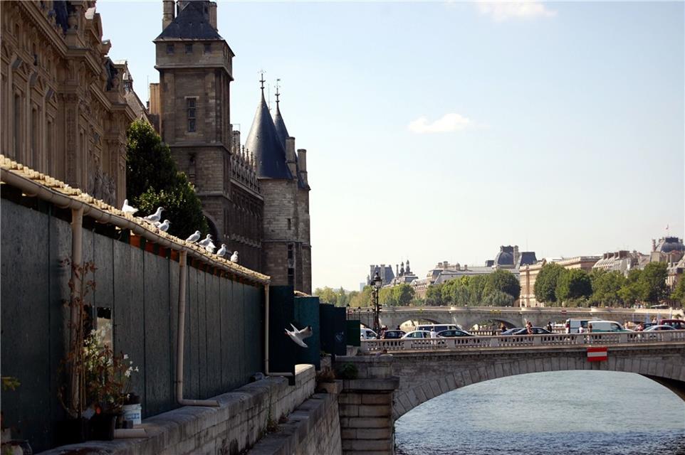 Paris Seagulls And Bridge jigsaw puzzle