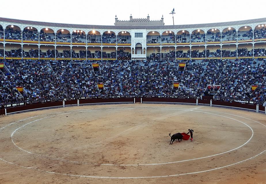 Bullfighting In Madrid Spain jigsaw puzzle