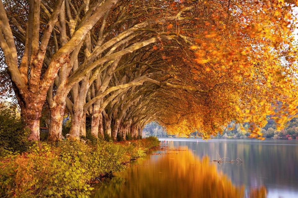 Autumn Lake Blurry Reflection jigsaw puzzle