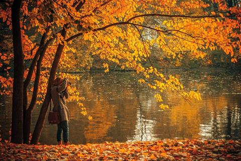 Autumn Photographer jigsaw puzzle