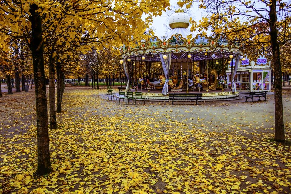 Autumn Tuileries Garden Paris jigsaw puzzle