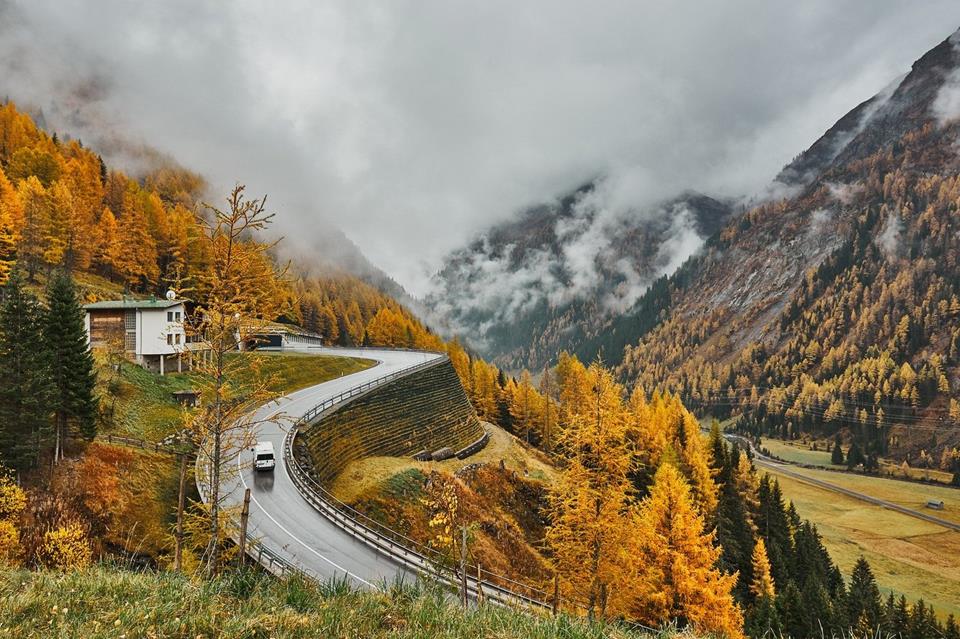 Autumn Road Landscape jigsaw puzzle