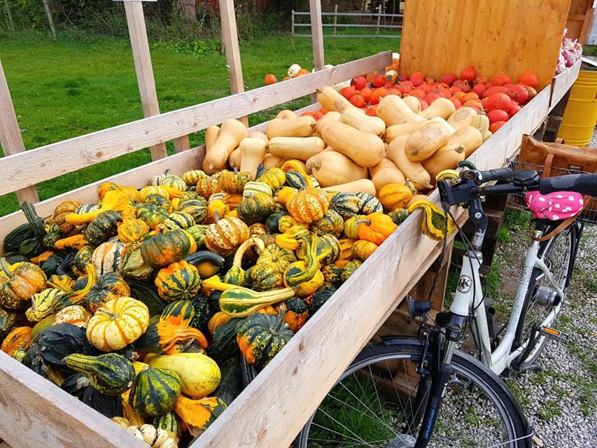 Fruit Stand jigsaw puzzle