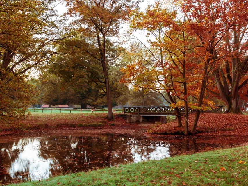 Dulmen Wildpark jigsaw puzzle