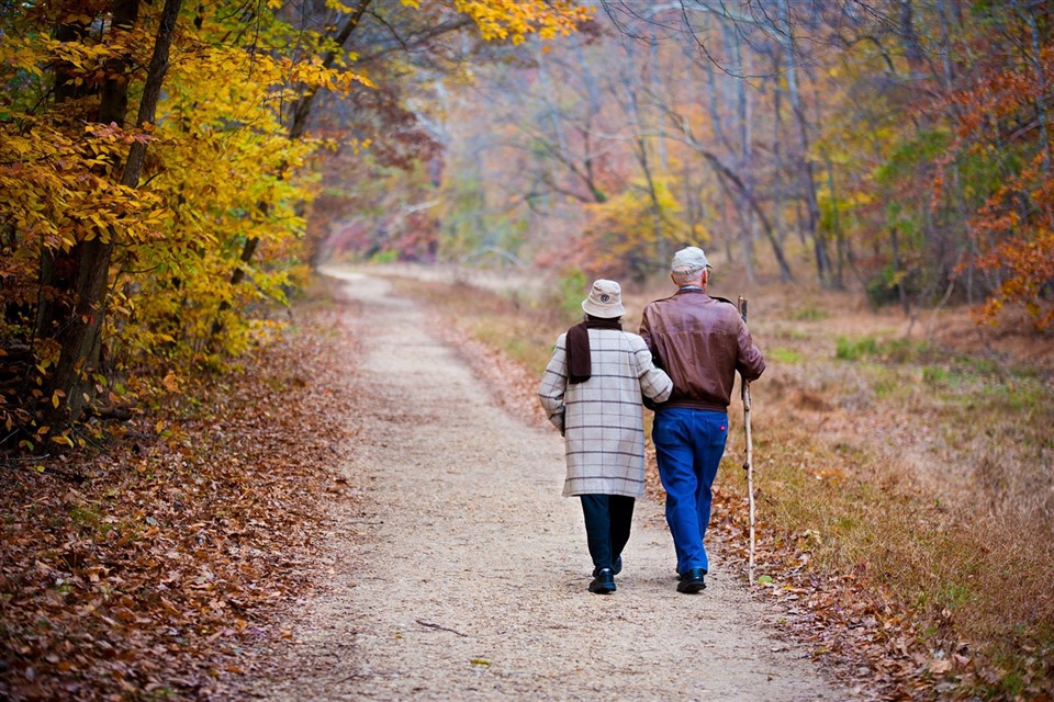 Elderly couple walking in the park jigsaw puzzle