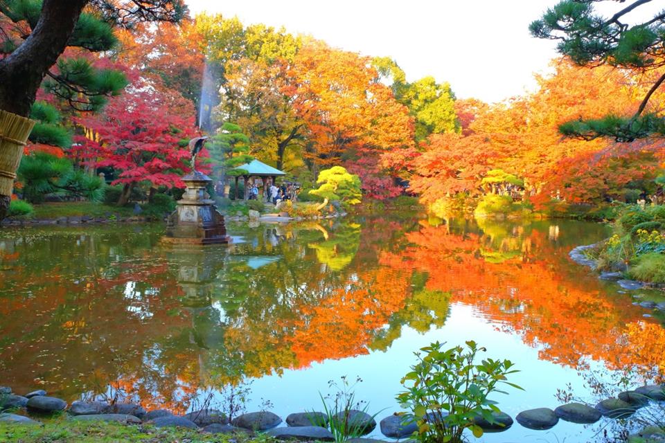 Hibiya Park In Autumn jigsaw puzzle