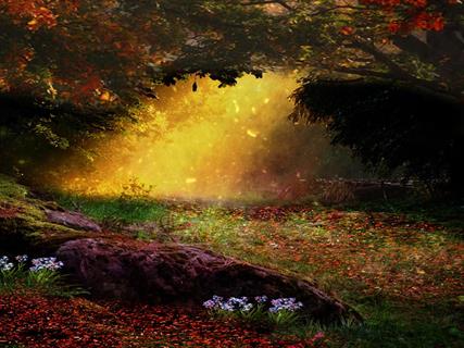 Branch Countryside Daylight Environment jigsaw puzzle