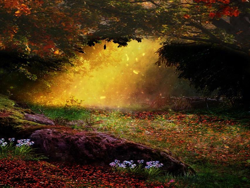 Branch Countryside Daylight Environment jigsaw puzzle