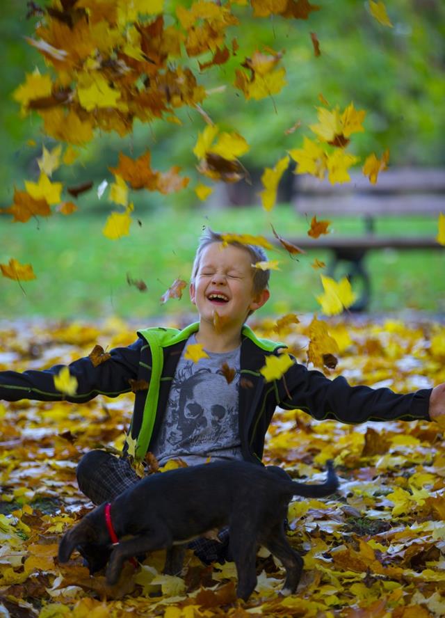 Happy Boy And Autumn Leaves  jigsaw puzzle