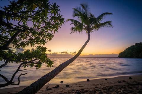 Beach With Coconut Tree jigsaw puzzle