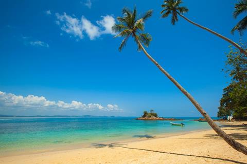 A Tropical Day jigsaw puzzle