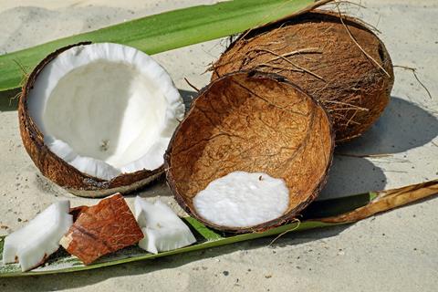 Coconuts At The Beach jigsaw puzzle