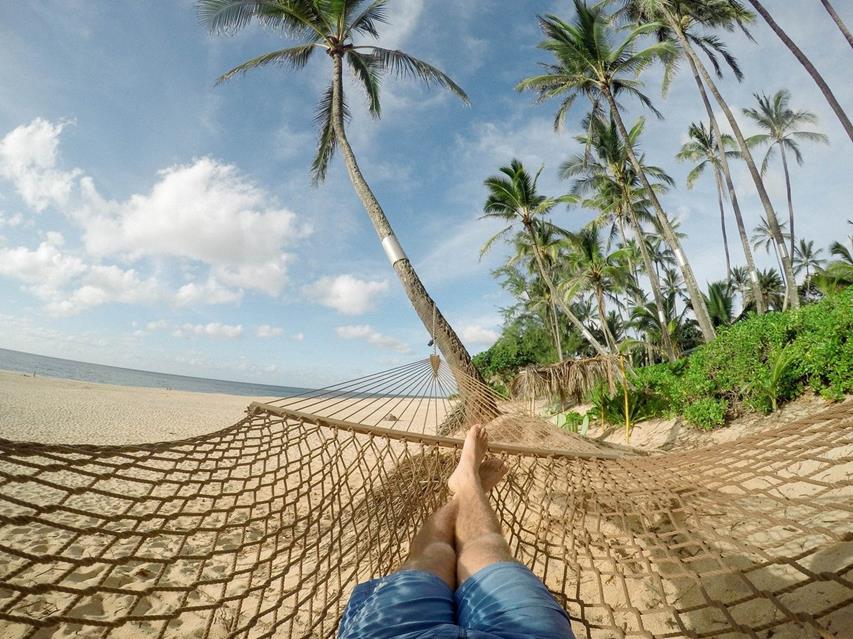 Hammock At The Beach jigsaw puzzle
