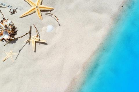 Starfish And Shell jigsaw puzzle
