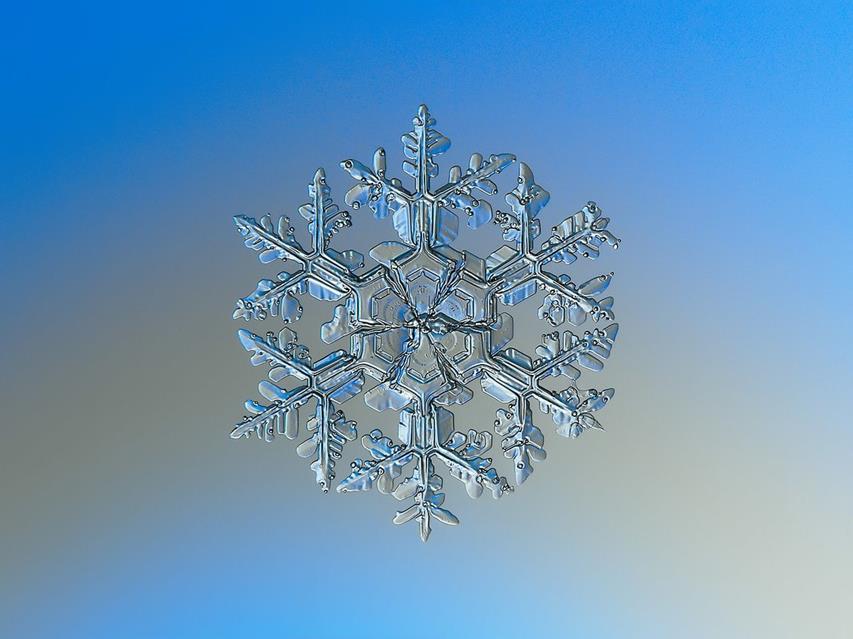 A Real Snowflake jigsaw puzzle