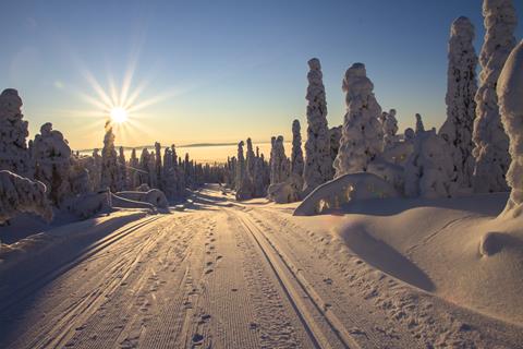 Snowy Path jigsaw puzzle