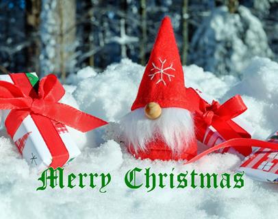 Mini Santa Claus  jigsaw puzzle