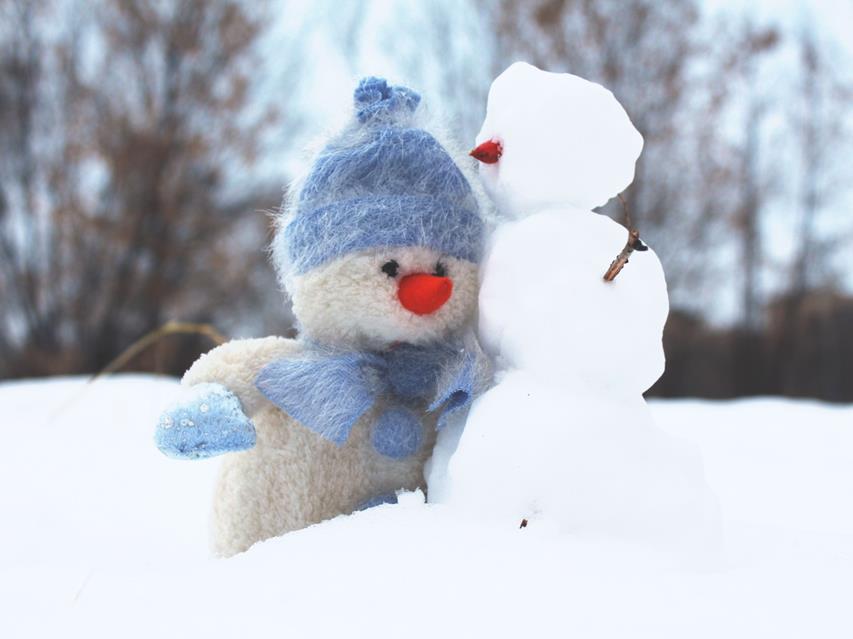 Snow Bear And The Snowman jigsaw puzzle