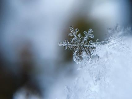Tiny Snowflake jigsaw puzzle