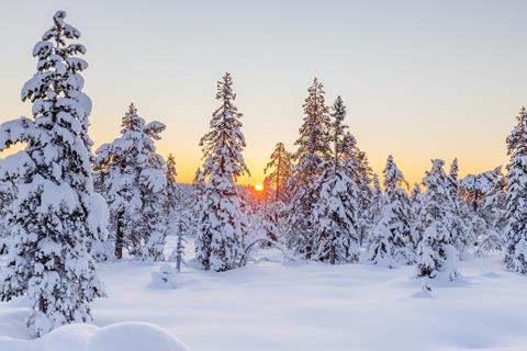 Winter Sunrise jigsaw puzzle