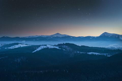 Evening Foggy Forest Frost jigsaw puzzle